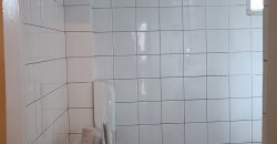 იყიდება 2 სართულიანი სახლი ქ. გორის ცენტრში