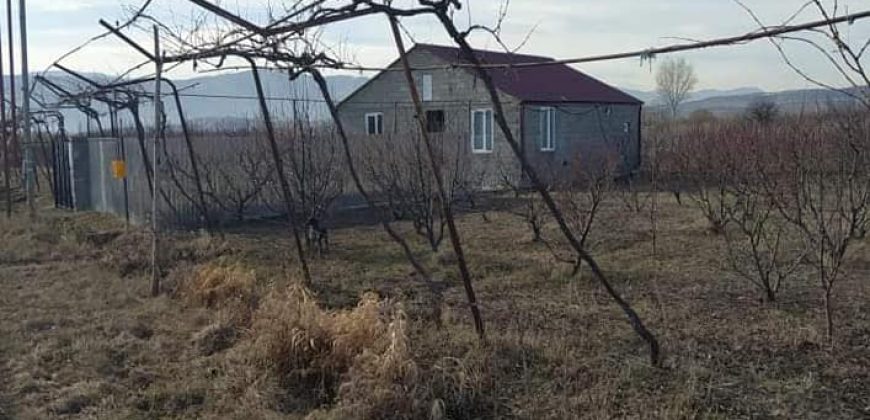 იყიდება სახლი გორის რაიონ სოფელ რეხაში