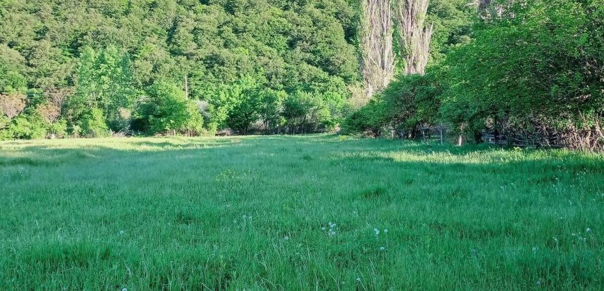 იყიდება მიწის ნაკვეთი ძამას ხეობა, სოფ. სუქანაანთ უბანში