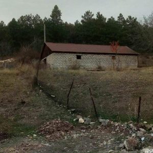 იყიდება ფერმა დმანისის რაიონ, სოფ. ბოსლებში