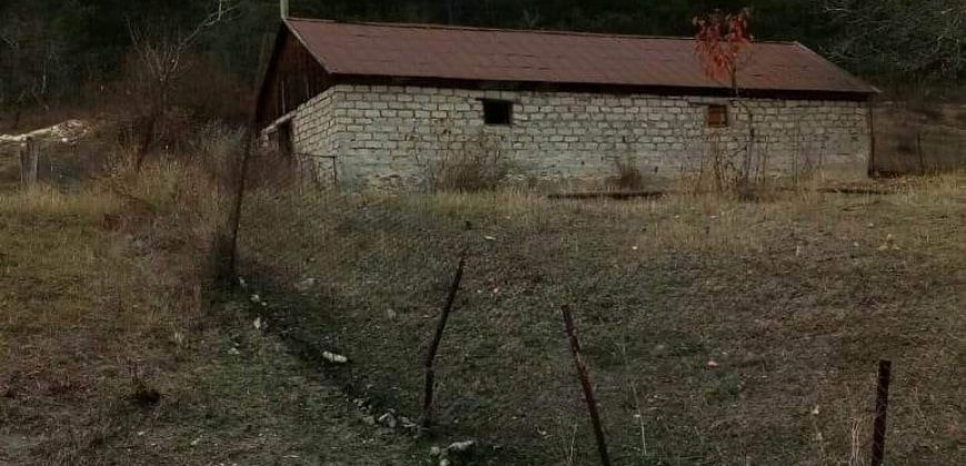 იყიდება ფერმა დმანისის რაიონ, სოფ. ბოსლებში