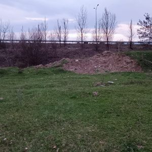 იყიდება მიწის ნაკვეთი გორში, ავტობანთან