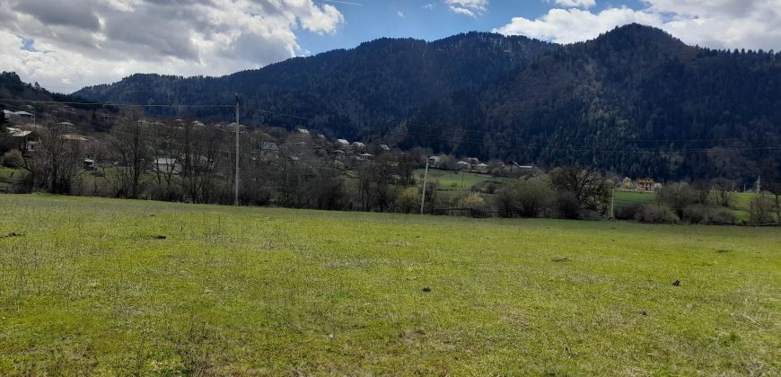 იყიდება მიწის ნაკვეთი ბორჯომის რაიონ, სოფელი ტბაში