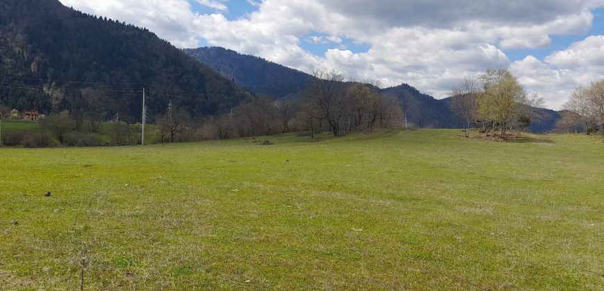 იყიდება მიწის ნაკვეთი ბორჯომის რაიონ, სოფელი ტბაში