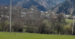 იყიდება მიწის ნაკვეთი ბორჯომის რაიონ, სოფელი ტბაში