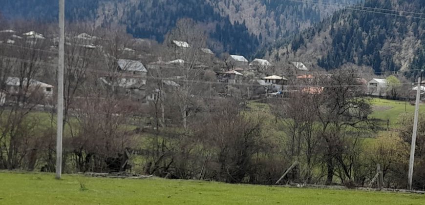 იყიდება მიწის ნაკვეთი ბორჯომის რაიონ, სოფელი ტბაში
