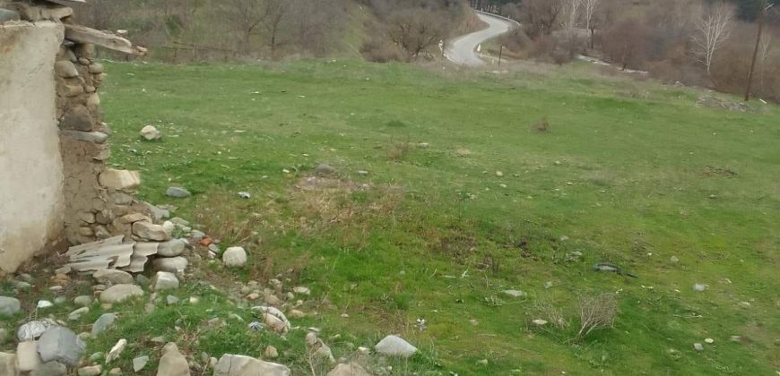 იყიდება მიწის ნაკვეთი გორის რაიონ სოფელ ბობნევში