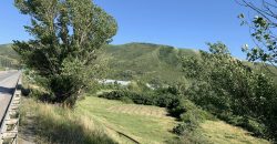 იყიდება მიწის ნაკვეთი გორში, სოფელ ბერბუკთან