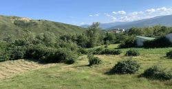 იყიდება მიწის ნაკვეთი გორში, სოფელ ბერბუკთან