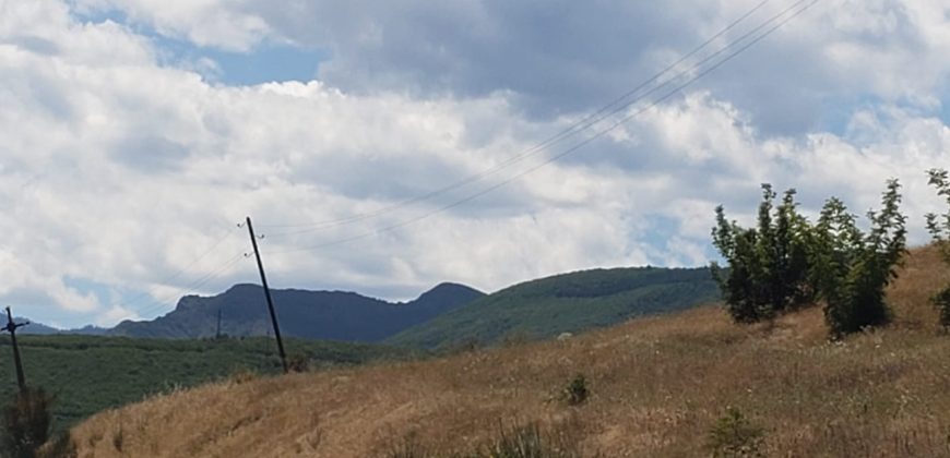 იყიდება მიწის ნაკვეთი გორის რაიონ, სოფ. ატენში