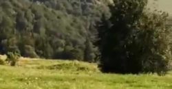 იყიდება მიწის ნაკვეთი გორის რაიონ სოფ. სახორცეში