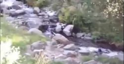 იყიდება მიწის ნაკვეთი გორის რაიონ სოფ. სახორცეში