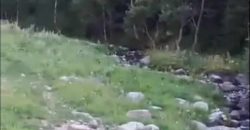 იყიდება მიწის ნაკვეთი გორის რაიონ სოფ. სახორცეში