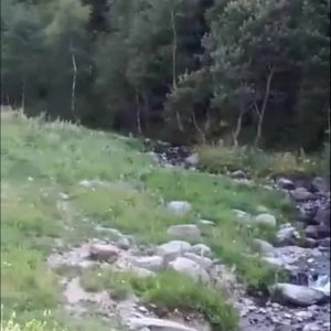 იყიდება მიწის ნაკვეთი გორის რაიონ სოფ. სახორცეში