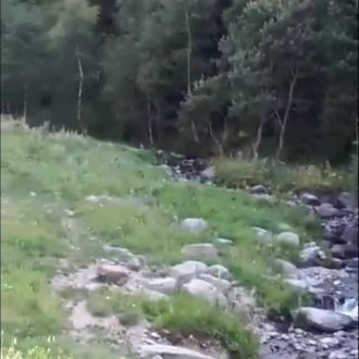 იყიდება მიწის ნაკვეთი გორის რაიონ სოფ. სახორცეში