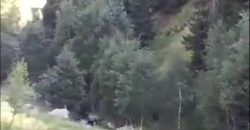 იყიდება მიწის ნაკვეთი გორის რაიონ სოფ. სახორცეში