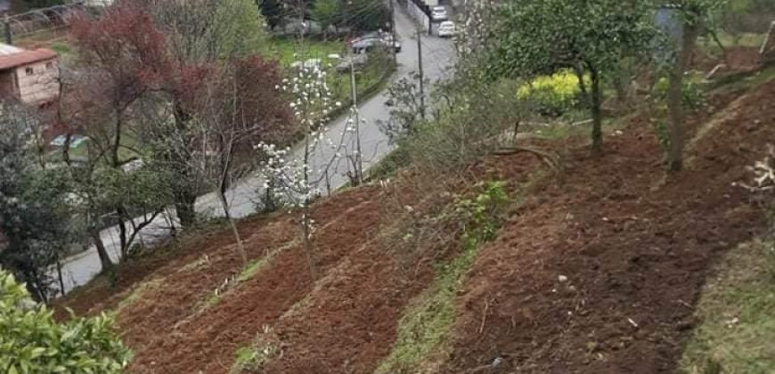 იყიდება მიწის ნაკვეთი ბათუმში, ფერიის დასახლებაში