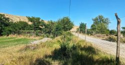 იყიდება მიწის ნაკვეთი გორის რაიონ, სოფ უფლისციხეში