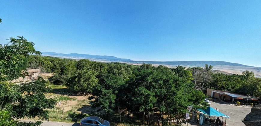 იყიდება მიწის ნაკვეთი გორის რაიონ, სოფ უფლისციხეში