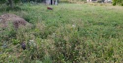 იყიდება სახლი გორის რაიონ, სოფ ბერბუკში