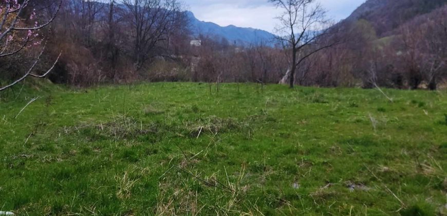 იყიდება მიწის ნაკვეთი გორის რაიონ. სოფ. ბობნევში