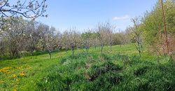 იყიდება 2 ოთახიანი ბინა ფერმით გორში, რესტორან ნაჭარმაგევთან