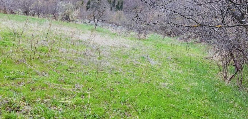 იყიდება მიწის ნაკვეთი გორის რაიონ. სოფ. ბობნევში