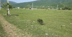 იყიდება მიწის ნაკვეთი დუშეთის რაიონ, სოფ. ბიჩნიგაურში