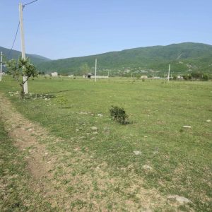 იყიდება მიწის ნაკვეთი დუშეთის რაიონ, სოფ. ბიჩნიგაურში