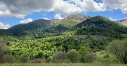 იყიდება მიწის ნაკვეთი თეძმის ხეობაში, სოფ. სახორცეში