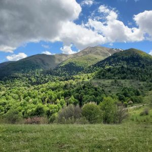 იყიდება მიწის ნაკვეთი თეძმის ხეობაში, სოფ. სახორცეში