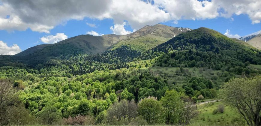 იყიდება მიწის ნაკვეთი თეძმის ხეობაში, სოფ. სახორცეში