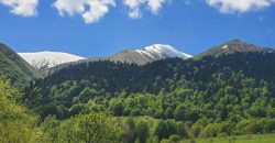 იყიდება მიწის ნაკვეთი თეძმის ხეობაში, სოფ. სახორცეში