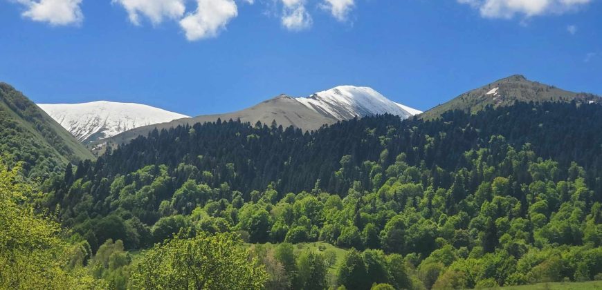 იყიდება მიწის ნაკვეთი თეძმის ხეობაში, სოფ. სახორცეში