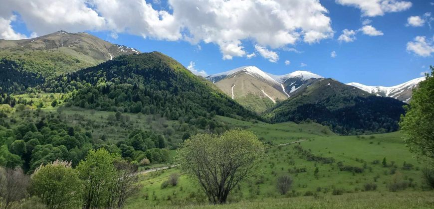 იყიდება მიწის ნაკვეთი თეძმის ხეობაში, სოფ. სახორცეში