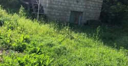 იყიდება ქათმის ფერმა პატარა საცხოვრებელი სახლით გორის რაიონ, სოფ. შინდისში