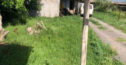 იყიდება ქათმის ფერმა პატარა საცხოვრებელი სახლით გორის რაიონ, სოფ. შინდისში