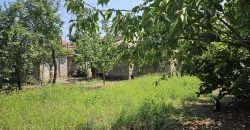 იყიდება სახლი გორში, წმინდა წყლის დასახლებაში