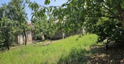 იყიდება სახლი გორში, წმინდა წყლის დასახლებაში