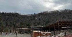 იყიდება მიწის ნაკვეთი შენობა-ნაგებობით ბორჯომის რაიონ, დაბა წაღვერში