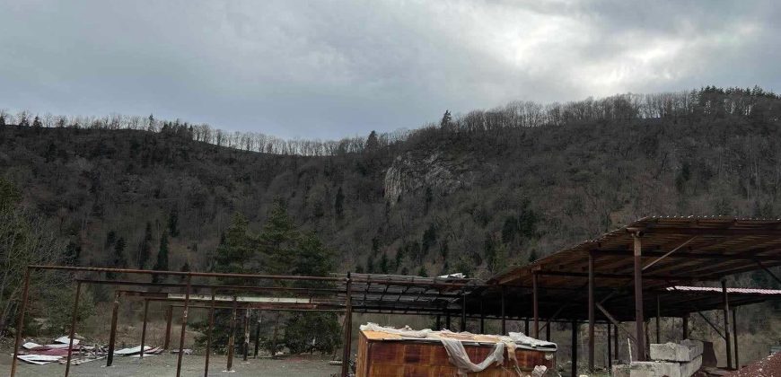 იყიდება მიწის ნაკვეთი შენობა-ნაგებობით ბორჯომის რაიონ, დაბა წაღვერში