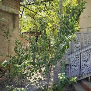 იყიდება მიწის ნაკვეთი ძველი სახლით ქ. გორის ცენტრში