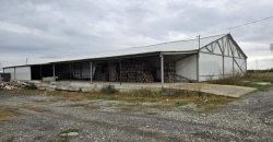 იყიდება საქონლის ფერმა ხეხილის ბაღით გორის რაიონ, სოფ. ბროწლეთში