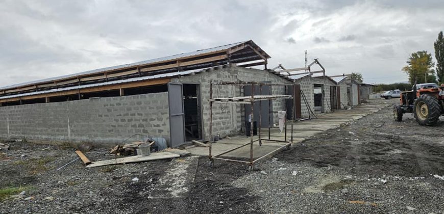 იყიდება საქონლის ფერმა ხეხილის ბაღით გორის რაიონ, სოფ. ბროწლეთში