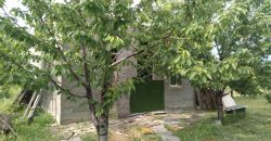 იყიდება სახლი გორში, წმინდა წყლის დასახლებაში