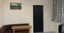 იყიდება 2 სახლი თბილისში, ქვემო მელითონეთა დასახლებაში