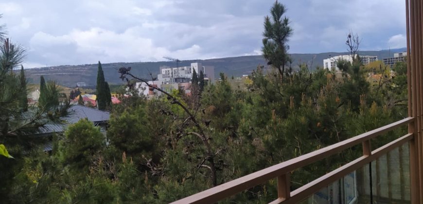 იყიდება ან გირავდება 2 ოთახიანი ბინა თბილისში, დიღმის მასივში