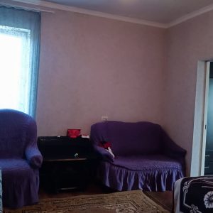 იყიდება 3 ოთახიანი ბინა გორის რაიონ, სოფე. ახალშენში