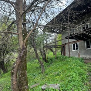იყიდება მიწის ნაკვეთი სახლით გორის რაიონ, სოფ. ორმოცში