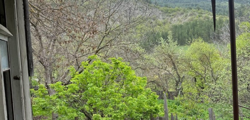 იყიდება მიწის ნაკვეთი სახლით გორის რაიონ, სოფ. ორმოცში